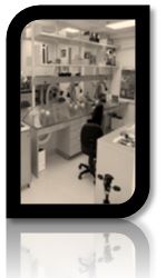 Clean Room and Lab type Dust Collection